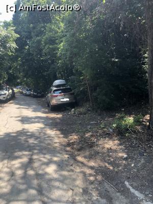 [P19] Sa nu credeti ca glumesc - chiar am avut masina in padure » foto by crismcl313
 - 
<span class="allrVoted glyphicon glyphicon-heart hidden" id="av1089594"></span>
<a class="m-l-10 hidden" id="sv1089594" onclick="voting_Foto_DelVot(,1089594,1869)" role="button">șterge vot <span class="glyphicon glyphicon-remove"></span></a>
<a id="v91089594" class=" c-red"  onclick="voting_Foto_SetVot(1089594)" role="button"><span class="glyphicon glyphicon-heart-empty"></span> <b>LIKE</b> = Votează poza</a> <img class="hidden"  id="f1089594W9" src="/imagini/loader.gif" border="0" /><span class="AjErrMes hidden" id="e1089594ErM"></span>