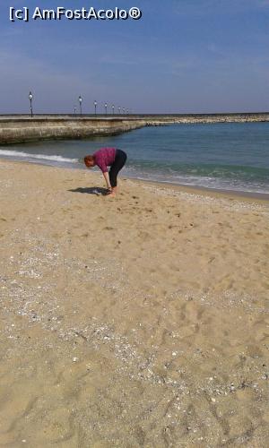 [P11] plaja » foto by marival
 - 
<span class="allrVoted glyphicon glyphicon-heart hidden" id="av962849"></span>
<a class="m-l-10 hidden" id="sv962849" onclick="voting_Foto_DelVot(,962849,1869)" role="button">șterge vot <span class="glyphicon glyphicon-remove"></span></a>
<a id="v9962849" class=" c-red"  onclick="voting_Foto_SetVot(962849)" role="button"><span class="glyphicon glyphicon-heart-empty"></span> <b>LIKE</b> = Votează poza</a> <img class="hidden"  id="f962849W9" src="/imagini/loader.gif" border="0" /><span class="AjErrMes hidden" id="e962849ErM"></span>