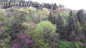 [P01] Vedere din balcon » foto by cosminap
 - 
<span class="allrVoted glyphicon glyphicon-heart hidden" id="av1067175"></span>
<a class="m-l-10 hidden" id="sv1067175" onclick="voting_Foto_DelVot(,1067175,1869)" role="button">șterge vot <span class="glyphicon glyphicon-remove"></span></a>
<a id="v91067175" class=" c-red"  onclick="voting_Foto_SetVot(1067175)" role="button"><span class="glyphicon glyphicon-heart-empty"></span> <b>LIKE</b> = Votează poza</a> <img class="hidden"  id="f1067175W9" src="/imagini/loader.gif" border="0" /><span class="AjErrMes hidden" id="e1067175ErM"></span>