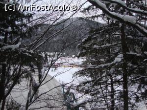 [P33] De pe terasa de vară a hotelului privim printre copacii plini de nea către zona pârtiei. Până acolo făceam pe scurtătură vreo 10 minute. Ne-a plăcut hotelul Royal, motiv pentru care recomandăm cazarea acolo! » foto by Floryn81
 - 
<span class="allrVoted glyphicon glyphicon-heart hidden" id="av827155"></span>
<a class="m-l-10 hidden" id="sv827155" onclick="voting_Foto_DelVot(,827155,1879)" role="button">șterge vot <span class="glyphicon glyphicon-remove"></span></a>
<a id="v9827155" class=" c-red"  onclick="voting_Foto_SetVot(827155)" role="button"><span class="glyphicon glyphicon-heart-empty"></span> <b>LIKE</b> = Votează poza</a> <img class="hidden"  id="f827155W9" src="/imagini/loader.gif" border="0" /><span class="AjErrMes hidden" id="e827155ErM"></span>