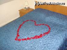 [P02] Patul dublu cu inimioara din petale » foto by pink_gabi*
 - 
<span class="allrVoted glyphicon glyphicon-heart hidden" id="av63200"></span>
<a class="m-l-10 hidden" id="sv63200" onclick="voting_Foto_DelVot(,63200,1905)" role="button">șterge vot <span class="glyphicon glyphicon-remove"></span></a>
<a id="v963200" class=" c-red"  onclick="voting_Foto_SetVot(63200)" role="button"><span class="glyphicon glyphicon-heart-empty"></span> <b>LIKE</b> = Votează poza</a> <img class="hidden"  id="f63200W9" src="/imagini/loader.gif" border="0" /><span class="AjErrMes hidden" id="e63200ErM"></span>