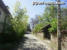 [P21] A venit primavara pe ulitele din Arbanassi. » foto by Floria
 - 
<span class="allrVoted glyphicon glyphicon-heart hidden" id="av309933"></span>
<a class="m-l-10 hidden" id="sv309933" onclick="voting_Foto_DelVot(,309933,1912)" role="button">șterge vot <span class="glyphicon glyphicon-remove"></span></a>
<a id="v9309933" class=" c-red"  onclick="voting_Foto_SetVot(309933)" role="button"><span class="glyphicon glyphicon-heart-empty"></span> <b>LIKE</b> = Votează poza</a> <img class="hidden"  id="f309933W9" src="/imagini/loader.gif" border="0" /><span class="AjErrMes hidden" id="e309933ErM"></span>
