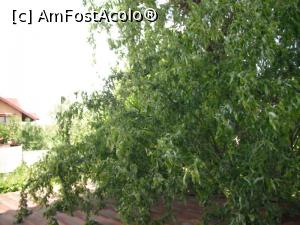 [P16] Asta vedeam eu pe fereastră.  » foto by Zoazore
 - 
<span class="allrVoted glyphicon glyphicon-heart hidden" id="av736760"></span>
<a class="m-l-10 hidden" id="sv736760" onclick="voting_Foto_DelVot(,736760,1913)" role="button">șterge vot <span class="glyphicon glyphicon-remove"></span></a>
<a id="v9736760" class=" c-red"  onclick="voting_Foto_SetVot(736760)" role="button"><span class="glyphicon glyphicon-heart-empty"></span> <b>LIKE</b> = Votează poza</a> <img class="hidden"  id="f736760W9" src="/imagini/loader.gif" border="0" /><span class="AjErrMes hidden" id="e736760ErM"></span>