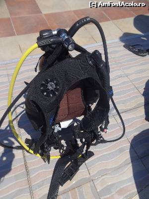 [P18] Pentru amatori de scuba diving » foto by fanespoitorul
 - 
<span class="allrVoted glyphicon glyphicon-heart hidden" id="av528963"></span>
<a class="m-l-10 hidden" id="sv528963" onclick="voting_Foto_DelVot(,528963,1929)" role="button">șterge vot <span class="glyphicon glyphicon-remove"></span></a>
<a id="v9528963" class=" c-red"  onclick="voting_Foto_SetVot(528963)" role="button"><span class="glyphicon glyphicon-heart-empty"></span> <b>LIKE</b> = Votează poza</a> <img class="hidden"  id="f528963W9" src="/imagini/loader.gif" border="0" /><span class="AjErrMes hidden" id="e528963ErM"></span>