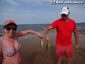 [P30] Pescari amatori fara instrumente. Pestii au fost prinsi cu mana » foto by fanespoitorul
 - 
<span class="allrVoted glyphicon glyphicon-heart hidden" id="av528975"></span>
<a class="m-l-10 hidden" id="sv528975" onclick="voting_Foto_DelVot(,528975,1929)" role="button">șterge vot <span class="glyphicon glyphicon-remove"></span></a>
<a id="v9528975" class=" c-red"  onclick="voting_Foto_SetVot(528975)" role="button"><span class="glyphicon glyphicon-heart-empty"></span> <b>LIKE</b> = Votează poza</a> <img class="hidden"  id="f528975W9" src="/imagini/loader.gif" border="0" /><span class="AjErrMes hidden" id="e528975ErM"></span>