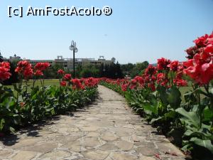 [P16] Aleea dinspre hotelul Pelican, gol în sezonul 2020 (aici se vede hotelul Marina Beach) » foto by Kavarnap
 - 
<span class="allrVoted glyphicon glyphicon-heart hidden" id="av1178353"></span>
<a class="m-l-10 hidden" id="sv1178353" onclick="voting_Foto_DelVot(,1178353,1930)" role="button">șterge vot <span class="glyphicon glyphicon-remove"></span></a>
<a id="v91178353" class=" c-red"  onclick="voting_Foto_SetVot(1178353)" role="button"><span class="glyphicon glyphicon-heart-empty"></span> <b>LIKE</b> = Votează poza</a> <img class="hidden"  id="f1178353W9" src="/imagini/loader.gif" border="0" /><span class="AjErrMes hidden" id="e1178353ErM"></span>