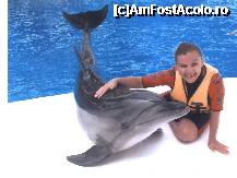 [P13] STAR - cel mai frumos delfin » foto by suzzy47*
 - 
<span class="allrVoted glyphicon glyphicon-heart hidden" id="av222961"></span>
<a class="m-l-10 hidden" id="sv222961" onclick="voting_Foto_DelVot(,222961,1933)" role="button">șterge vot <span class="glyphicon glyphicon-remove"></span></a>
<a id="v9222961" class=" c-red"  onclick="voting_Foto_SetVot(222961)" role="button"><span class="glyphicon glyphicon-heart-empty"></span> <b>LIKE</b> = Votează poza</a> <img class="hidden"  id="f222961W9" src="/imagini/loader.gif" border="0" /><span class="AjErrMes hidden" id="e222961ErM"></span>