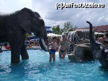 [P40] la elefantzei in Aqua Park » foto by viorica c
 - 
<span class="allrVoted glyphicon glyphicon-heart hidden" id="av106505"></span>
<a class="m-l-10 hidden" id="sv106505" onclick="voting_Foto_DelVot(,106505,1941)" role="button">șterge vot <span class="glyphicon glyphicon-remove"></span></a>
<a id="v9106505" class=" c-red"  onclick="voting_Foto_SetVot(106505)" role="button"><span class="glyphicon glyphicon-heart-empty"></span> <b>LIKE</b> = Votează poza</a> <img class="hidden"  id="f106505W9" src="/imagini/loader.gif" border="0" /><span class="AjErrMes hidden" id="e106505ErM"></span>