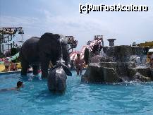 [P41] Aqua Park...frumos » foto by viorica c
 - 
<span class="allrVoted glyphicon glyphicon-heart hidden" id="av106508"></span>
<a class="m-l-10 hidden" id="sv106508" onclick="voting_Foto_DelVot(,106508,1941)" role="button">șterge vot <span class="glyphicon glyphicon-remove"></span></a>
<a id="v9106508" class=" c-red"  onclick="voting_Foto_SetVot(106508)" role="button"><span class="glyphicon glyphicon-heart-empty"></span> <b>LIKE</b> = Votează poza</a> <img class="hidden"  id="f106508W9" src="/imagini/loader.gif" border="0" /><span class="AjErrMes hidden" id="e106508ErM"></span>