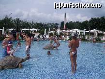 [P45] broscutzele...in Aqua... » foto by viorica c
 - 
<span class="allrVoted glyphicon glyphicon-heart hidden" id="av106515"></span>
<a class="m-l-10 hidden" id="sv106515" onclick="voting_Foto_DelVot(,106515,1941)" role="button">șterge vot <span class="glyphicon glyphicon-remove"></span></a>
<a id="v9106515" class=" c-red"  onclick="voting_Foto_SetVot(106515)" role="button"><span class="glyphicon glyphicon-heart-empty"></span> <b>LIKE</b> = Votează poza</a> <img class="hidden"  id="f106515W9" src="/imagini/loader.gif" border="0" /><span class="AjErrMes hidden" id="e106515ErM"></span>