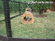 [P47]  -- <small>// FĂRĂ DESCRIERE</small> » foto by viorica c
 - 
<span class="allrVoted glyphicon glyphicon-heart hidden" id="av106518"></span>
<a class="m-l-10 hidden" id="sv106518" onclick="voting_Foto_DelVot(,106518,1941)" role="button">șterge vot <span class="glyphicon glyphicon-remove"></span></a>
<a id="v9106518" class=" c-red"  onclick="voting_Foto_SetVot(106518)" role="button"><span class="glyphicon glyphicon-heart-empty"></span> <b>LIKE</b> = Votează poza</a> <img class="hidden"  id="f106518W9" src="/imagini/loader.gif" border="0" /><span class="AjErrMes hidden" id="e106518ErM"></span>