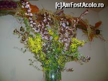 [P04] in ziua de Paste(decor) » foto by sniga
 - 
<span class="allrVoted glyphicon glyphicon-heart hidden" id="av61548"></span>
<a class="m-l-10 hidden" id="sv61548" onclick="voting_Foto_DelVot(,61548,1941)" role="button">șterge vot <span class="glyphicon glyphicon-remove"></span></a>
<a id="v961548" class=" c-red"  onclick="voting_Foto_SetVot(61548)" role="button"><span class="glyphicon glyphicon-heart-empty"></span> <b>LIKE</b> = Votează poza</a> <img class="hidden"  id="f61548W9" src="/imagini/loader.gif" border="0" /><span class="AjErrMes hidden" id="e61548ErM"></span>