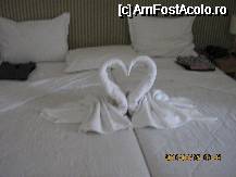 [P13]  -- <small>// FĂRĂ DESCRIERE</small> » foto by Anduise
 - 
<span class="allrVoted glyphicon glyphicon-heart hidden" id="av62620"></span>
<a class="m-l-10 hidden" id="sv62620" onclick="voting_Foto_DelVot(,62620,1941)" role="button">șterge vot <span class="glyphicon glyphicon-remove"></span></a>
<a id="v962620" class=" c-red"  onclick="voting_Foto_SetVot(62620)" role="button"><span class="glyphicon glyphicon-heart-empty"></span> <b>LIKE</b> = Votează poza</a> <img class="hidden"  id="f62620W9" src="/imagini/loader.gif" border="0" /><span class="AjErrMes hidden" id="e62620ErM"></span>