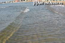 [P17]  -- <small>// FĂRĂ DESCRIERE</small> » foto by anyx
 - 
<span class="allrVoted glyphicon glyphicon-heart hidden" id="av110944"></span>
<a class="m-l-10 hidden" id="sv110944" onclick="voting_Foto_DelVot(,110944,1946)" role="button">șterge vot <span class="glyphicon glyphicon-remove"></span></a>
<a id="v9110944" class=" c-red"  onclick="voting_Foto_SetVot(110944)" role="button"><span class="glyphicon glyphicon-heart-empty"></span> <b>LIKE</b> = Votează poza</a> <img class="hidden"  id="f110944W9" src="/imagini/loader.gif" border="0" /><span class="AjErrMes hidden" id="e110944ErM"></span>