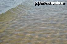 [P18] Marea... » foto by anyx
 - 
<span class="allrVoted glyphicon glyphicon-heart hidden" id="av110945"></span>
<a class="m-l-10 hidden" id="sv110945" onclick="voting_Foto_DelVot(,110945,1946)" role="button">șterge vot <span class="glyphicon glyphicon-remove"></span></a>
<a id="v9110945" class=" c-red"  onclick="voting_Foto_SetVot(110945)" role="button"><span class="glyphicon glyphicon-heart-empty"></span> <b>LIKE</b> = Votează poza</a> <img class="hidden"  id="f110945W9" src="/imagini/loader.gif" border="0" /><span class="AjErrMes hidden" id="e110945ErM"></span>