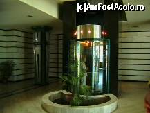 [P17] Tot in hol la corpul D » foto by mmierla
 - 
<span class="allrVoted glyphicon glyphicon-heart hidden" id="av97392"></span>
<a class="m-l-10 hidden" id="sv97392" onclick="voting_Foto_DelVot(,97392,1946)" role="button">șterge vot <span class="glyphicon glyphicon-remove"></span></a>
<a id="v997392" class=" c-red"  onclick="voting_Foto_SetVot(97392)" role="button"><span class="glyphicon glyphicon-heart-empty"></span> <b>LIKE</b> = Votează poza</a> <img class="hidden"  id="f97392W9" src="/imagini/loader.gif" border="0" /><span class="AjErrMes hidden" id="e97392ErM"></span>