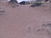 [P06] superbele dune de nisip » foto by banal
 - 
<span class="allrVoted glyphicon glyphicon-heart hidden" id="av92209"></span>
<a class="m-l-10 hidden" id="sv92209" onclick="voting_Foto_DelVot(,92209,1951)" role="button">șterge vot <span class="glyphicon glyphicon-remove"></span></a>
<a id="v992209" class=" c-red"  onclick="voting_Foto_SetVot(92209)" role="button"><span class="glyphicon glyphicon-heart-empty"></span> <b>LIKE</b> = Votează poza</a> <img class="hidden"  id="f92209W9" src="/imagini/loader.gif" border="0" /><span class="AjErrMes hidden" id="e92209ErM"></span>