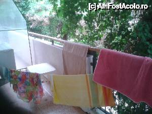 [P04] Balcon si vegetatie abundenta » foto by bigbrother
 - 
<span class="allrVoted glyphicon glyphicon-heart hidden" id="av446545"></span>
<a class="m-l-10 hidden" id="sv446545" onclick="voting_Foto_DelVot(,446545,1955)" role="button">șterge vot <span class="glyphicon glyphicon-remove"></span></a>
<a id="v9446545" class=" c-red"  onclick="voting_Foto_SetVot(446545)" role="button"><span class="glyphicon glyphicon-heart-empty"></span> <b>LIKE</b> = Votează poza</a> <img class="hidden"  id="f446545W9" src="/imagini/loader.gif" border="0" /><span class="AjErrMes hidden" id="e446545ErM"></span>
