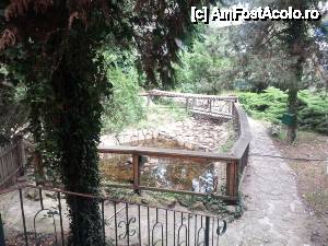 [P44] Grădina interioară, partea 'sălbatică', vedere din hotel.  » foto by ionut.iosub
 - 
<span class="allrVoted glyphicon glyphicon-heart hidden" id="av429464"></span>
<a class="m-l-10 hidden" id="sv429464" onclick="voting_Foto_DelVot(,429464,1955)" role="button">șterge vot <span class="glyphicon glyphicon-remove"></span></a>
<a id="v9429464" class=" c-red"  onclick="voting_Foto_SetVot(429464)" role="button"><span class="glyphicon glyphicon-heart-empty"></span> <b>LIKE</b> = Votează poza</a> <img class="hidden"  id="f429464W9" src="/imagini/loader.gif" border="0" /><span class="AjErrMes hidden" id="e429464ErM"></span>