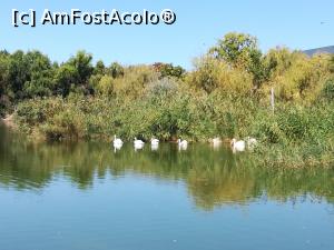 [P03] Microrezervația din cadrul Delfinariului » foto by anamaria_2010
 - 
<span class="allrVoted glyphicon glyphicon-heart hidden" id="av1185119"></span>
<a class="m-l-10 hidden" id="sv1185119" onclick="voting_Foto_DelVot(,1185119,1957)" role="button">șterge vot <span class="glyphicon glyphicon-remove"></span></a>
<a id="v91185119" class=" c-red"  onclick="voting_Foto_SetVot(1185119)" role="button"><span class="glyphicon glyphicon-heart-empty"></span> <b>LIKE</b> = Votează poza</a> <img class="hidden"  id="f1185119W9" src="/imagini/loader.gif" border="0" /><span class="AjErrMes hidden" id="e1185119ErM"></span>