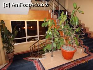 [P06] Hotel Hermes - scara și multe flori » foto by ANILU
 - 
<span class="allrVoted glyphicon glyphicon-heart hidden" id="av927384"></span>
<a class="m-l-10 hidden" id="sv927384" onclick="voting_Foto_DelVot(,927384,1977)" role="button">șterge vot <span class="glyphicon glyphicon-remove"></span></a>
<a id="v9927384" class=" c-red"  onclick="voting_Foto_SetVot(927384)" role="button"><span class="glyphicon glyphicon-heart-empty"></span> <b>LIKE</b> = Votează poza</a> <img class="hidden"  id="f927384W9" src="/imagini/loader.gif" border="0" /><span class="AjErrMes hidden" id="e927384ErM"></span>