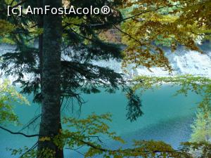[P40] un colt de rai, lacul Vidraru » foto by Yolanda
 - 
<span class="allrVoted glyphicon glyphicon-heart hidden" id="av991605"></span>
<a class="m-l-10 hidden" id="sv991605" onclick="voting_Foto_DelVot(,991605,1986)" role="button">șterge vot <span class="glyphicon glyphicon-remove"></span></a>
<a id="v9991605" class=" c-red"  onclick="voting_Foto_SetVot(991605)" role="button"><span class="glyphicon glyphicon-heart-empty"></span> <b>LIKE</b> = Votează poza</a> <img class="hidden"  id="f991605W9" src="/imagini/loader.gif" border="0" /><span class="AjErrMes hidden" id="e991605ErM"></span>