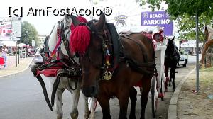 [P11] mijloc de transport prin stațiune » foto by vivi2002
 - 
<span class="allrVoted glyphicon glyphicon-heart hidden" id="av1389136"></span>
<a class="m-l-10 hidden" id="sv1389136" onclick="voting_Foto_DelVot(,1389136,1998)" role="button">șterge vot <span class="glyphicon glyphicon-remove"></span></a>
<a id="v91389136" class=" c-red"  onclick="voting_Foto_SetVot(1389136)" role="button"><span class="glyphicon glyphicon-heart-empty"></span> <b>LIKE</b> = Votează poza</a> <img class="hidden"  id="f1389136W9" src="/imagini/loader.gif" border="0" /><span class="AjErrMes hidden" id="e1389136ErM"></span>