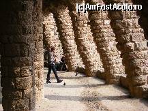[P16] Parcul Guell » foto by zpedro*
 - 
<span class="allrVoted glyphicon glyphicon-heart hidden" id="av95880"></span>
<a class="m-l-10 hidden" id="sv95880" onclick="voting_Foto_DelVot(,95880,1999)" role="button">șterge vot <span class="glyphicon glyphicon-remove"></span></a>
<a id="v995880" class=" c-red"  onclick="voting_Foto_SetVot(95880)" role="button"><span class="glyphicon glyphicon-heart-empty"></span> <b>LIKE</b> = Votează poza</a> <img class="hidden"  id="f95880W9" src="/imagini/loader.gif" border="0" /><span class="AjErrMes hidden" id="e95880ErM"></span>