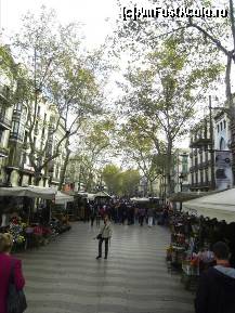 [P77] Las Ramblas - pietonala pe mijloc, masini prin parti :) Incepe distractia. » foto by TraianS
 - 
<span class="allrVoted glyphicon glyphicon-heart hidden" id="av291520"></span>
<a class="m-l-10 hidden" id="sv291520" onclick="voting_Foto_DelVot(,291520,1999)" role="button">șterge vot <span class="glyphicon glyphicon-remove"></span></a>
<a id="v9291520" class=" c-red"  onclick="voting_Foto_SetVot(291520)" role="button"><span class="glyphicon glyphicon-heart-empty"></span> <b>LIKE</b> = Votează poza</a> <img class="hidden"  id="f291520W9" src="/imagini/loader.gif" border="0" /><span class="AjErrMes hidden" id="e291520ErM"></span>