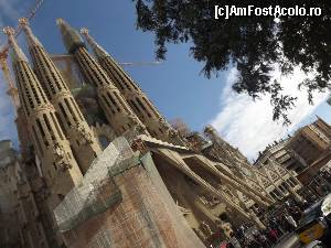 [P11] just Sagrada Familia » foto by robert
 - 
<span class="allrVoted glyphicon glyphicon-heart hidden" id="av626698"></span>
<a class="m-l-10 hidden" id="sv626698" onclick="voting_Foto_DelVot(,626698,1999)" role="button">șterge vot <span class="glyphicon glyphicon-remove"></span></a>
<a id="v9626698" class=" c-red"  onclick="voting_Foto_SetVot(626698)" role="button"><span class="glyphicon glyphicon-heart-empty"></span> <b>LIKE</b> = Votează poza</a> <img class="hidden"  id="f626698W9" src="/imagini/loader.gif" border="0" /><span class="AjErrMes hidden" id="e626698ErM"></span>