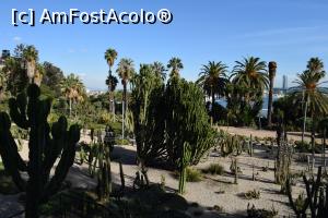 [P25] Gradina de cactusi - Jardins de Mossèn Costa i Llobera » foto by paulcta
 - 
<span class="allrVoted glyphicon glyphicon-heart hidden" id="av817023"></span>
<a class="m-l-10 hidden" id="sv817023" onclick="voting_Foto_DelVot(,817023,1999)" role="button">șterge vot <span class="glyphicon glyphicon-remove"></span></a>
<a id="v9817023" class=" c-red"  onclick="voting_Foto_SetVot(817023)" role="button"><span class="glyphicon glyphicon-heart-empty"></span> <b>LIKE</b> = Votează poza</a> <img class="hidden"  id="f817023W9" src="/imagini/loader.gif" border="0" /><span class="AjErrMes hidden" id="e817023ErM"></span>