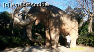 [P18] Mamutul din Ciutadella » foto by cristina47*
 - 
<span class="allrVoted glyphicon glyphicon-heart hidden" id="av884107"></span>
<a class="m-l-10 hidden" id="sv884107" onclick="voting_Foto_DelVot(,884107,1999)" role="button">șterge vot <span class="glyphicon glyphicon-remove"></span></a>
<a id="v9884107" class=" c-red"  onclick="voting_Foto_SetVot(884107)" role="button"><span class="glyphicon glyphicon-heart-empty"></span> <b>LIKE</b> = Votează poza</a> <img class="hidden"  id="f884107W9" src="/imagini/loader.gif" border="0" /><span class="AjErrMes hidden" id="e884107ErM"></span>