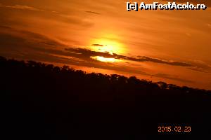 [P20] Apus de soare in savana » foto by Kyandra
 - 
<span class="allrVoted glyphicon glyphicon-heart hidden" id="av602020"></span>
<a class="m-l-10 hidden" id="sv602020" onclick="voting_Foto_DelVot(,602020,2009)" role="button">șterge vot <span class="glyphicon glyphicon-remove"></span></a>
<a id="v9602020" class=" c-red"  onclick="voting_Foto_SetVot(602020)" role="button"><span class="glyphicon glyphicon-heart-empty"></span> <b>LIKE</b> = Votează poza</a> <img class="hidden"  id="f602020W9" src="/imagini/loader.gif" border="0" /><span class="AjErrMes hidden" id="e602020ErM"></span>