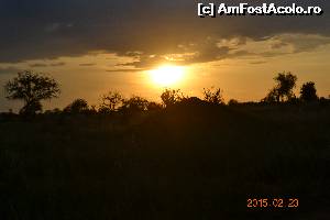 [P28] Kenya » foto by Kyandra
 - 
<span class="allrVoted glyphicon glyphicon-heart hidden" id="av602028"></span>
<a class="m-l-10 hidden" id="sv602028" onclick="voting_Foto_DelVot(,602028,2009)" role="button">șterge vot <span class="glyphicon glyphicon-remove"></span></a>
<a id="v9602028" class=" c-red"  onclick="voting_Foto_SetVot(602028)" role="button"><span class="glyphicon glyphicon-heart-empty"></span> <b>LIKE</b> = Votează poza</a> <img class="hidden"  id="f602028W9" src="/imagini/loader.gif" border="0" /><span class="AjErrMes hidden" id="e602028ErM"></span>