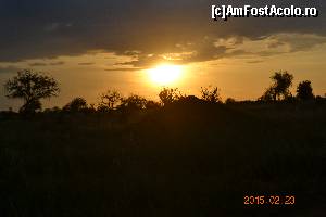 [P02] Noapte buna, savana » foto by Kyandra
 - 
<span class="allrVoted glyphicon glyphicon-heart hidden" id="av602672"></span>
<a class="m-l-10 hidden" id="sv602672" onclick="voting_Foto_DelVot(,602672,2009)" role="button">șterge vot <span class="glyphicon glyphicon-remove"></span></a>
<a id="v9602672" class=" c-red"  onclick="voting_Foto_SetVot(602672)" role="button"><span class="glyphicon glyphicon-heart-empty"></span> <b>LIKE</b> = Votează poza</a> <img class="hidden"  id="f602672W9" src="/imagini/loader.gif" border="0" /><span class="AjErrMes hidden" id="e602672ErM"></span>
