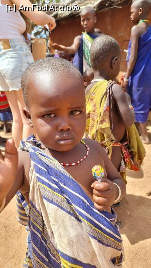 [P51] un sat de masai » foto by robert
 - 
<span class="allrVoted glyphicon glyphicon-heart hidden" id="av1247082"></span>
<a class="m-l-10 hidden" id="sv1247082" onclick="voting_Foto_DelVot(,1247082,2009)" role="button">șterge vot <span class="glyphicon glyphicon-remove"></span></a>
<a id="v91247082" class=" c-red"  onclick="voting_Foto_SetVot(1247082)" role="button"><span class="glyphicon glyphicon-heart-empty"></span> <b>LIKE</b> = Votează poza</a> <img class="hidden"  id="f1247082W9" src="/imagini/loader.gif" border="0" /><span class="AjErrMes hidden" id="e1247082ErM"></span>