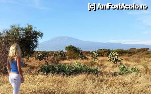 [P03] Kilimanjaro » foto by roxana.tomina
 - 
<span class="allrVoted glyphicon glyphicon-heart hidden" id="av481746"></span>
<a class="m-l-10 hidden" id="sv481746" onclick="voting_Foto_DelVot(,481746,2009)" role="button">șterge vot <span class="glyphicon glyphicon-remove"></span></a>
<a id="v9481746" class=" c-red"  onclick="voting_Foto_SetVot(481746)" role="button"><span class="glyphicon glyphicon-heart-empty"></span> <b>LIKE</b> = Votează poza</a> <img class="hidden"  id="f481746W9" src="/imagini/loader.gif" border="0" /><span class="AjErrMes hidden" id="e481746ErM"></span>