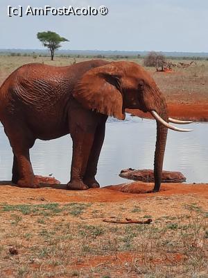 [P14] de pe terasa Ngutuni » foto by nela b
 - 
<span class="allrVoted glyphicon glyphicon-heart hidden" id="av1515230"></span>
<a class="m-l-10 hidden" id="sv1515230" onclick="voting_Foto_DelVot(,1515230,2009)" role="button">șterge vot <span class="glyphicon glyphicon-remove"></span></a>
<a id="v91515230" class=" c-red"  onclick="voting_Foto_SetVot(1515230)" role="button"><span class="glyphicon glyphicon-heart-empty"></span> <b>LIKE</b> = Votează poza</a> <img class="hidden"  id="f1515230W9" src="/imagini/loader.gif" border="0" /><span class="AjErrMes hidden" id="e1515230ErM"></span>