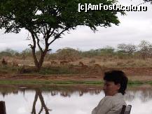 [P26] Ghici cine vine la micul dejun? » foto by marinescubgdn
 - 
<span class="allrVoted glyphicon glyphicon-heart hidden" id="av173866"></span>
<a class="m-l-10 hidden" id="sv173866" onclick="voting_Foto_DelVot(,173866,2009)" role="button">șterge vot <span class="glyphicon glyphicon-remove"></span></a>
<a id="v9173866" class=" c-red"  onclick="voting_Foto_SetVot(173866)" role="button"><span class="glyphicon glyphicon-heart-empty"></span> <b>LIKE</b> = Votează poza</a> <img class="hidden"  id="f173866W9" src="/imagini/loader.gif" border="0" /><span class="AjErrMes hidden" id="e173866ErM"></span>