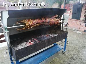[P21] Purcelușul căruia aveam să-i mâncăm pomana » foto by crismis
 - 
<span class="allrVoted glyphicon glyphicon-heart hidden" id="av824798"></span>
<a class="m-l-10 hidden" id="sv824798" onclick="voting_Foto_DelVot(,824798,2010)" role="button">șterge vot <span class="glyphicon glyphicon-remove"></span></a>
<a id="v9824798" class=" c-red"  onclick="voting_Foto_SetVot(824798)" role="button"><span class="glyphicon glyphicon-heart-empty"></span> <b>LIKE</b> = Votează poza</a> <img class="hidden"  id="f824798W9" src="/imagini/loader.gif" border="0" /><span class="AjErrMes hidden" id="e824798ErM"></span>