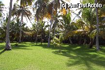 [P14] Prin resort » foto by claudiu70
 - 
<span class="allrVoted glyphicon glyphicon-heart hidden" id="av6629"></span>
<a class="m-l-10 hidden" id="sv6629" onclick="voting_Foto_DelVot(,6629,2013)" role="button">șterge vot <span class="glyphicon glyphicon-remove"></span></a>
<a id="v96629" class=" c-red"  onclick="voting_Foto_SetVot(6629)" role="button"><span class="glyphicon glyphicon-heart-empty"></span> <b>LIKE</b> = Votează poza</a> <img class="hidden"  id="f6629W9" src="/imagini/loader.gif" border="0" /><span class="AjErrMes hidden" id="e6629ErM"></span>