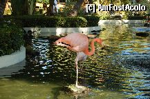 [P05] Fantana din fata receptiei Bavaro » foto by claudiu70
 - 
<span class="allrVoted glyphicon glyphicon-heart hidden" id="av6620"></span>
<a class="m-l-10 hidden" id="sv6620" onclick="voting_Foto_DelVot(,6620,2013)" role="button">șterge vot <span class="glyphicon glyphicon-remove"></span></a>
<a id="v96620" class=" c-red"  onclick="voting_Foto_SetVot(6620)" role="button"><span class="glyphicon glyphicon-heart-empty"></span> <b>LIKE</b> = Votează poza</a> <img class="hidden"  id="f6620W9" src="/imagini/loader.gif" border="0" /><span class="AjErrMes hidden" id="e6620ErM"></span>