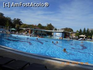 [P07] lumea se distreaza la piscine » foto by zlatna
 - 
<span class="allrVoted glyphicon glyphicon-heart hidden" id="av1018758"></span>
<a class="m-l-10 hidden" id="sv1018758" onclick="voting_Foto_DelVot(,1018758,2030)" role="button">șterge vot <span class="glyphicon glyphicon-remove"></span></a>
<a id="v91018758" class=" c-red"  onclick="voting_Foto_SetVot(1018758)" role="button"><span class="glyphicon glyphicon-heart-empty"></span> <b>LIKE</b> = Votează poza</a> <img class="hidden"  id="f1018758W9" src="/imagini/loader.gif" border="0" /><span class="AjErrMes hidden" id="e1018758ErM"></span>