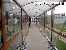 [P20] chiar daca afara ploua,ajungem oricum la piscina » foto by geni
 - 
<span class="allrVoted glyphicon glyphicon-heart hidden" id="av100598"></span>
<a class="m-l-10 hidden" id="sv100598" onclick="voting_Foto_DelVot(,100598,2030)" role="button">șterge vot <span class="glyphicon glyphicon-remove"></span></a>
<a id="v9100598" class=" c-red"  onclick="voting_Foto_SetVot(100598)" role="button"><span class="glyphicon glyphicon-heart-empty"></span> <b>LIKE</b> = Votează poza</a> <img class="hidden"  id="f100598W9" src="/imagini/loader.gif" border="0" /><span class="AjErrMes hidden" id="e100598ErM"></span>