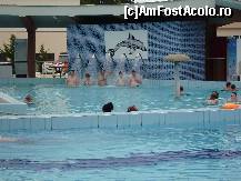 [P25] la tratament in piscina exterioara...cea cu apa termala » foto by geni
 - 
<span class="allrVoted glyphicon glyphicon-heart hidden" id="av100604"></span>
<a class="m-l-10 hidden" id="sv100604" onclick="voting_Foto_DelVot(,100604,2030)" role="button">șterge vot <span class="glyphicon glyphicon-remove"></span></a>
<a id="v9100604" class=" c-red"  onclick="voting_Foto_SetVot(100604)" role="button"><span class="glyphicon glyphicon-heart-empty"></span> <b>LIKE</b> = Votează poza</a> <img class="hidden"  id="f100604W9" src="/imagini/loader.gif" border="0" /><span class="AjErrMes hidden" id="e100604ErM"></span>