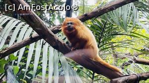 [P03]  -- <small>// FĂRĂ DESCRIERE</small> » foto by cryangel
 - 
<span class="allrVoted glyphicon glyphicon-heart hidden" id="av1374837"></span>
<a class="m-l-10 hidden" id="sv1374837" onclick="voting_Foto_DelVot(,1374837,2078)" role="button">șterge vot <span class="glyphicon glyphicon-remove"></span></a>
<a id="v91374837" class=" c-red"  onclick="voting_Foto_SetVot(1374837)" role="button"><span class="glyphicon glyphicon-heart-empty"></span> <b>LIKE</b> = Votează poza</a> <img class="hidden"  id="f1374837W9" src="/imagini/loader.gif" border="0" /><span class="AjErrMes hidden" id="e1374837ErM"></span>