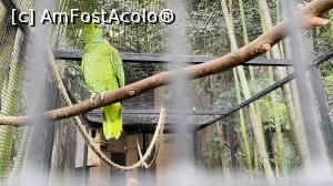 [P07] Obligatoriu si papagali. » foto by cryangel
 - 
<span class="allrVoted glyphicon glyphicon-heart hidden" id="av1374841"></span>
<a class="m-l-10 hidden" id="sv1374841" onclick="voting_Foto_DelVot(,1374841,2078)" role="button">șterge vot <span class="glyphicon glyphicon-remove"></span></a>
<a id="v91374841" class=" c-red"  onclick="voting_Foto_SetVot(1374841)" role="button"><span class="glyphicon glyphicon-heart-empty"></span> <b>LIKE</b> = Votează poza</a> <img class="hidden"  id="f1374841W9" src="/imagini/loader.gif" border="0" /><span class="AjErrMes hidden" id="e1374841ErM"></span>