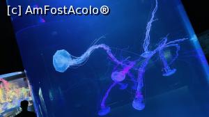 [P08]  -- <small>// FĂRĂ DESCRIERE</small> » foto by cryangel
 - 
<span class="allrVoted glyphicon glyphicon-heart hidden" id="av1374842"></span>
<a class="m-l-10 hidden" id="sv1374842" onclick="voting_Foto_DelVot(,1374842,2078)" role="button">șterge vot <span class="glyphicon glyphicon-remove"></span></a>
<a id="v91374842" class=" c-red"  onclick="voting_Foto_SetVot(1374842)" role="button"><span class="glyphicon glyphicon-heart-empty"></span> <b>LIKE</b> = Votează poza</a> <img class="hidden"  id="f1374842W9" src="/imagini/loader.gif" border="0" /><span class="AjErrMes hidden" id="e1374842ErM"></span>