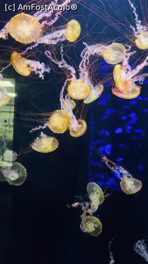 [P09]  -- <small>// FĂRĂ DESCRIERE</small> » foto by cryangel
 - 
<span class="allrVoted glyphicon glyphicon-heart hidden" id="av1374843"></span>
<a class="m-l-10 hidden" id="sv1374843" onclick="voting_Foto_DelVot(,1374843,2078)" role="button">șterge vot <span class="glyphicon glyphicon-remove"></span></a>
<a id="v91374843" class=" c-red"  onclick="voting_Foto_SetVot(1374843)" role="button"><span class="glyphicon glyphicon-heart-empty"></span> <b>LIKE</b> = Votează poza</a> <img class="hidden"  id="f1374843W9" src="/imagini/loader.gif" border="0" /><span class="AjErrMes hidden" id="e1374843ErM"></span>