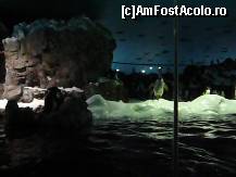 [P20] Antarctica...mutata in Tenerife... » foto by irinagh
 - 
<span class="allrVoted glyphicon glyphicon-heart hidden" id="av130448"></span>
<a class="m-l-10 hidden" id="sv130448" onclick="voting_Foto_DelVot(,130448,2078)" role="button">șterge vot <span class="glyphicon glyphicon-remove"></span></a>
<a id="v9130448" class=" c-red"  onclick="voting_Foto_SetVot(130448)" role="button"><span class="glyphicon glyphicon-heart-empty"></span> <b>LIKE</b> = Votează poza</a> <img class="hidden"  id="f130448W9" src="/imagini/loader.gif" border="0" /><span class="AjErrMes hidden" id="e130448ErM"></span>